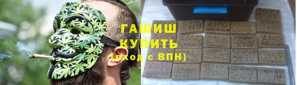 СК Инта