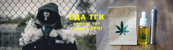СК Инта