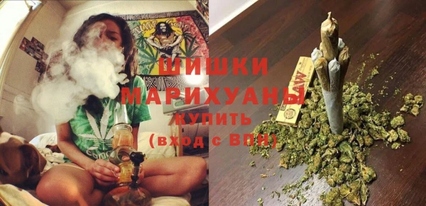 СК Инта