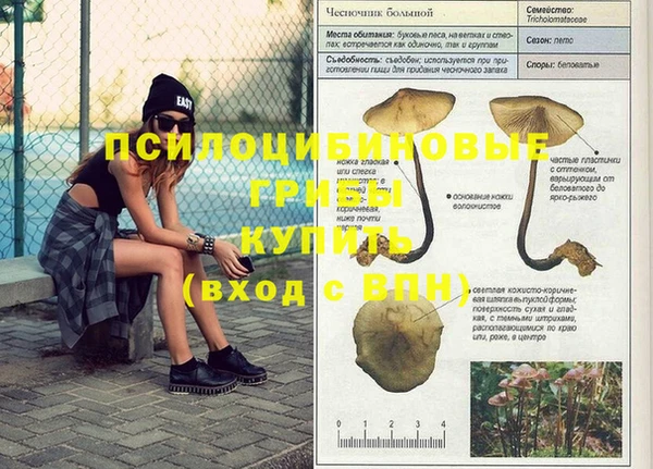 мяу мяу мука Инсар