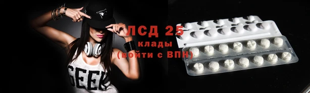 мяу мяу мука Инсар