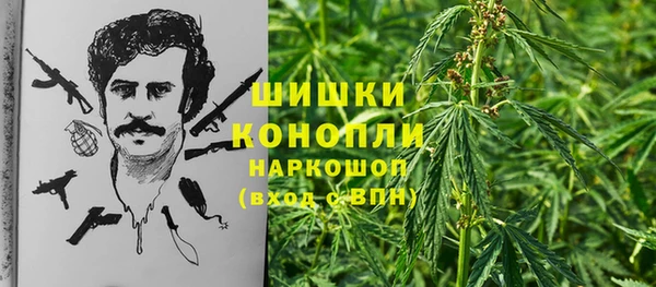 СК Инта