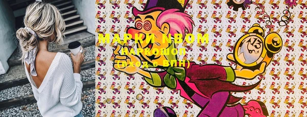 мяу мяу мука Инсар