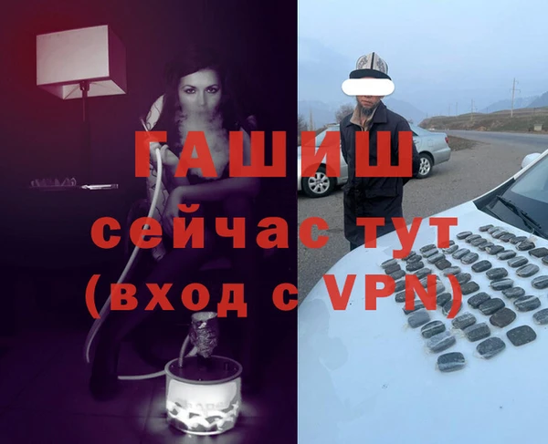 СК Инта